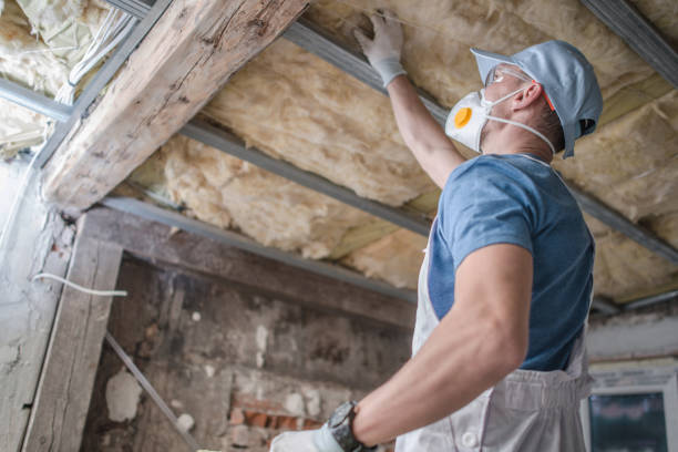 Best Insulation Repair Services  in Demarest, NJ